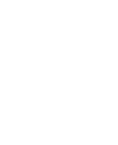 Gold Pig