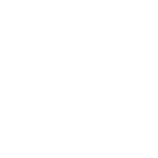 Gold Pig